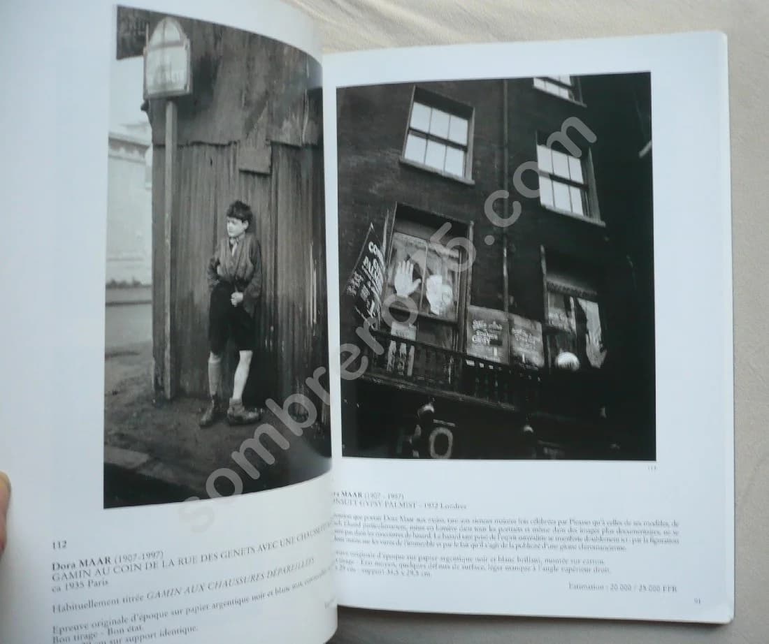 Les Photographies de Dora Maar - Une histoire - Des oeuvres - Image 6