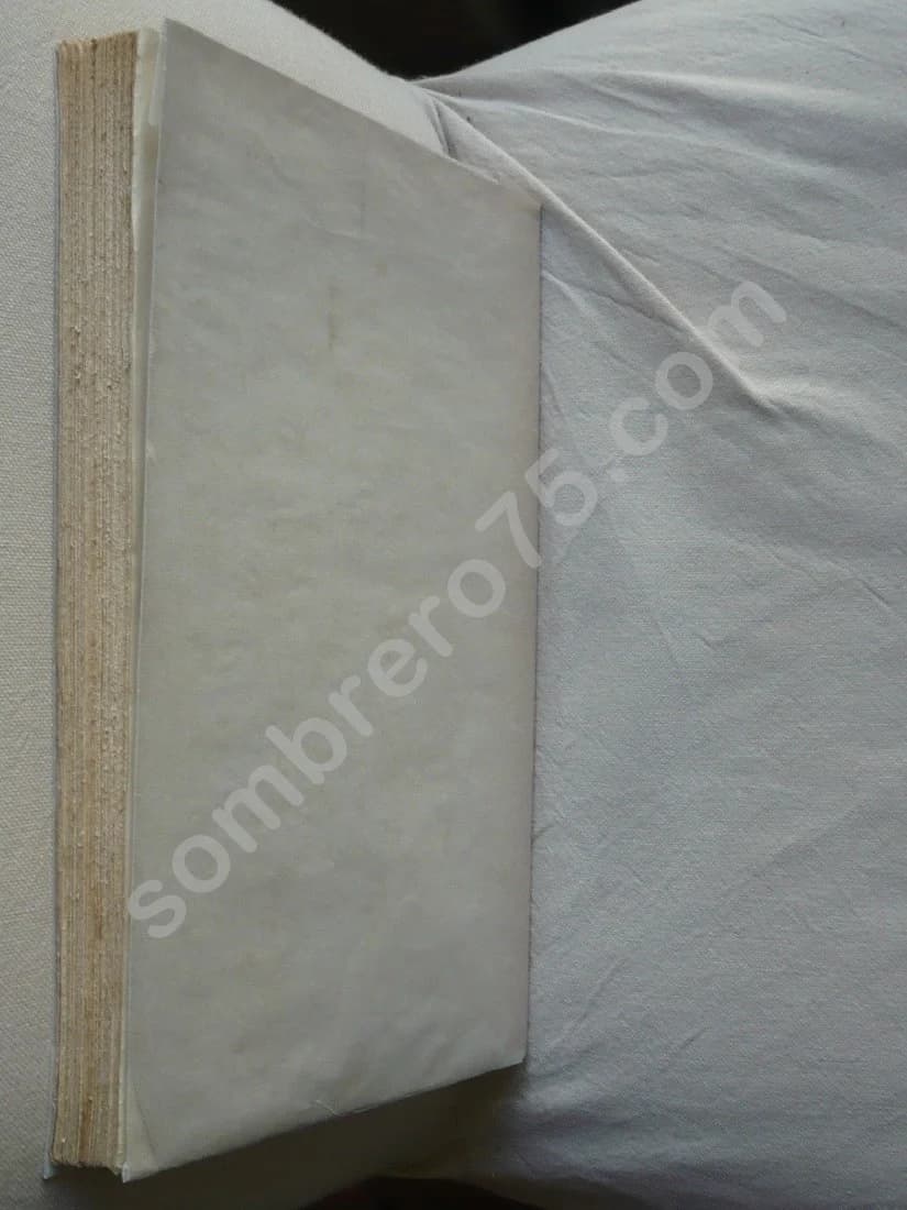 Essai sur la Vie Politique de Couthon 1791-1794. Thèse. Charles François LAMBERT - Image 4