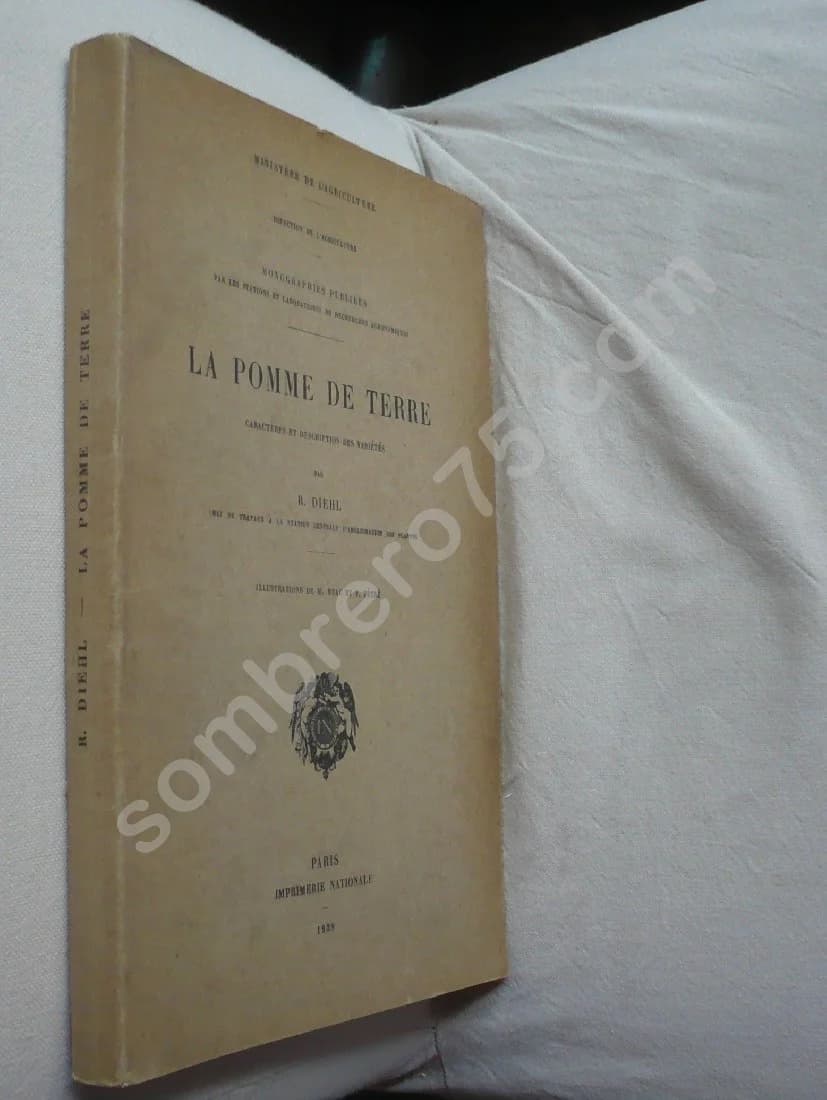 La Pomme de terre - Caractères et Description des Variétés. DIEHL - Image 2