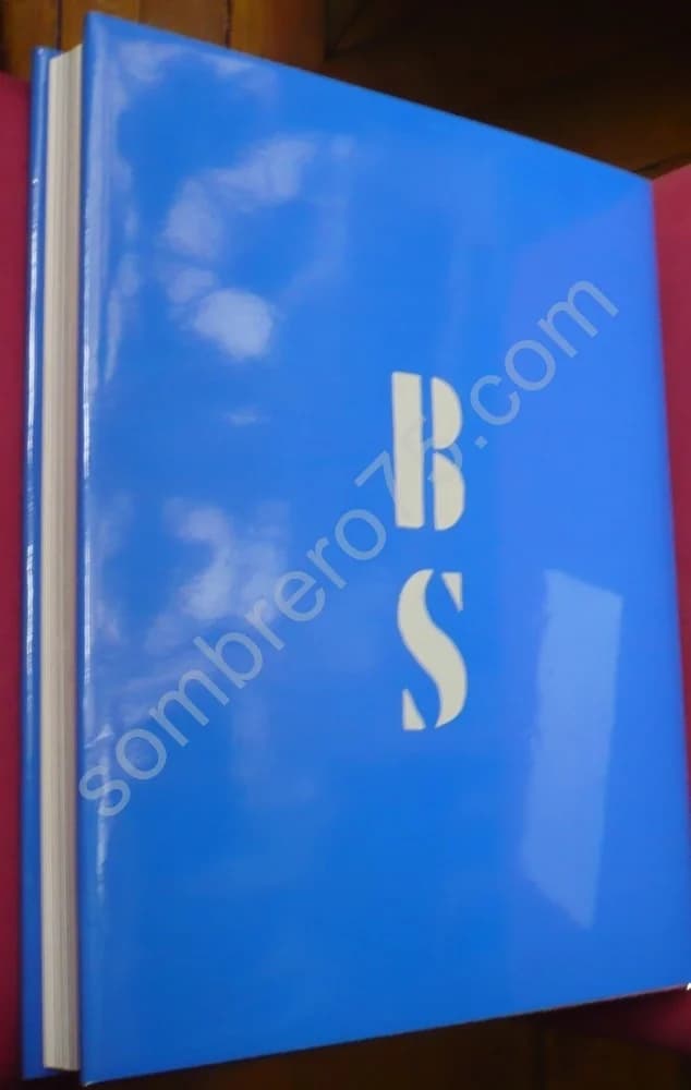 Ballets Suédois - Image 8