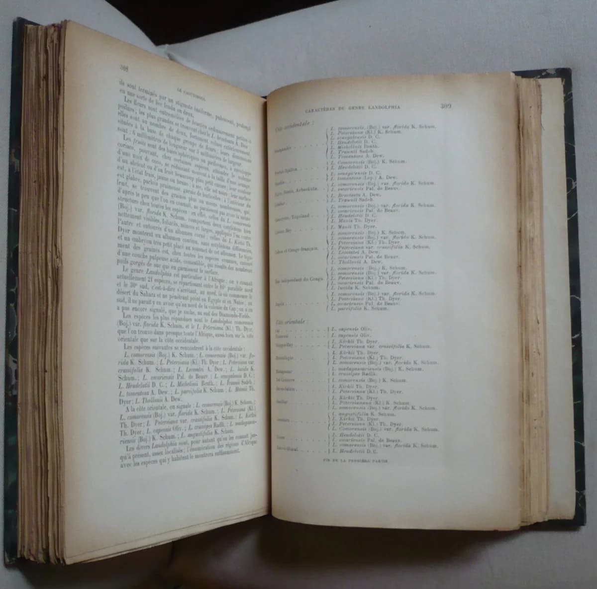 Le Caoutchouc et la Gutta Percha. Th SEELIGMANN - Image 2