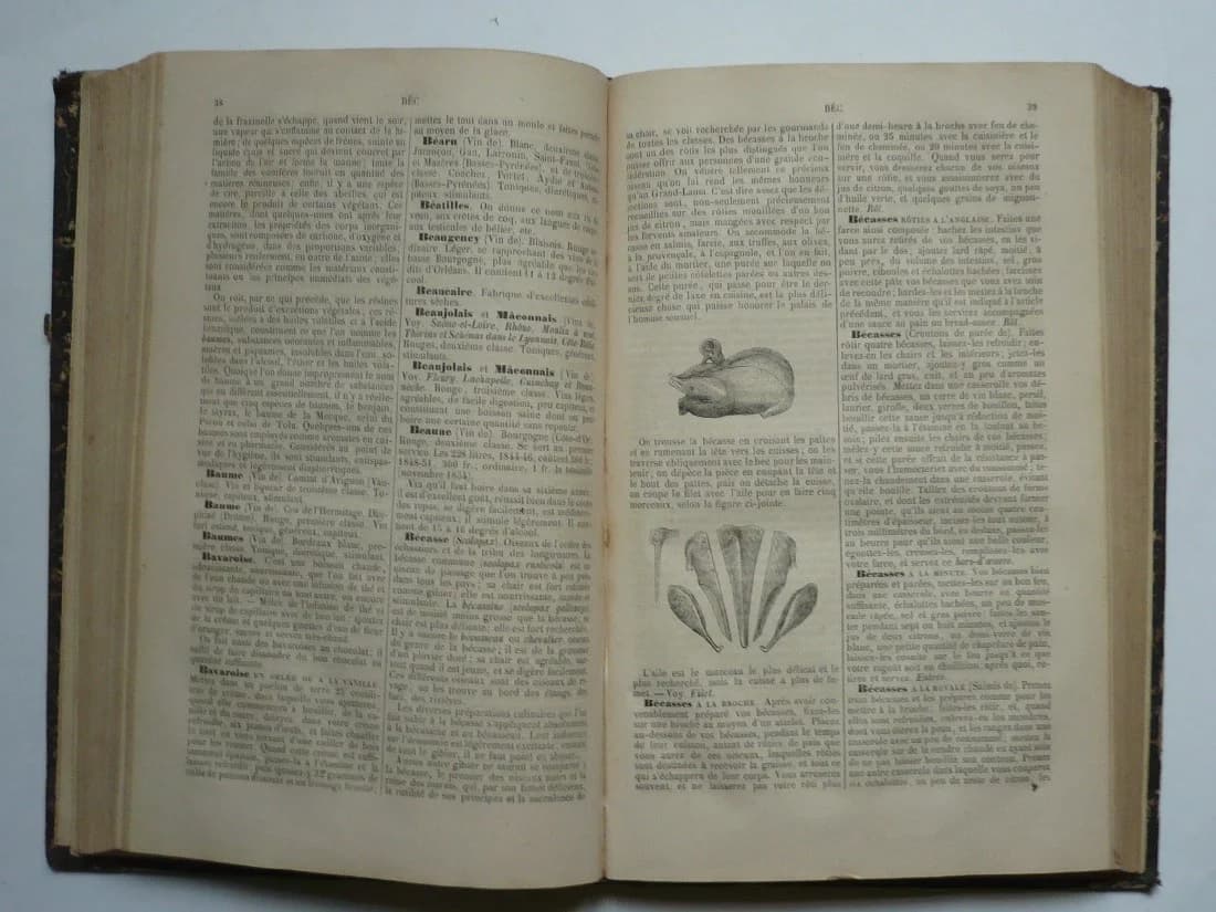 Le Cuisinier et le Médecin et le Médecin et le Cuisinier ou l'art de conserver ou de rétablir sa santé. 1855 - Image 4