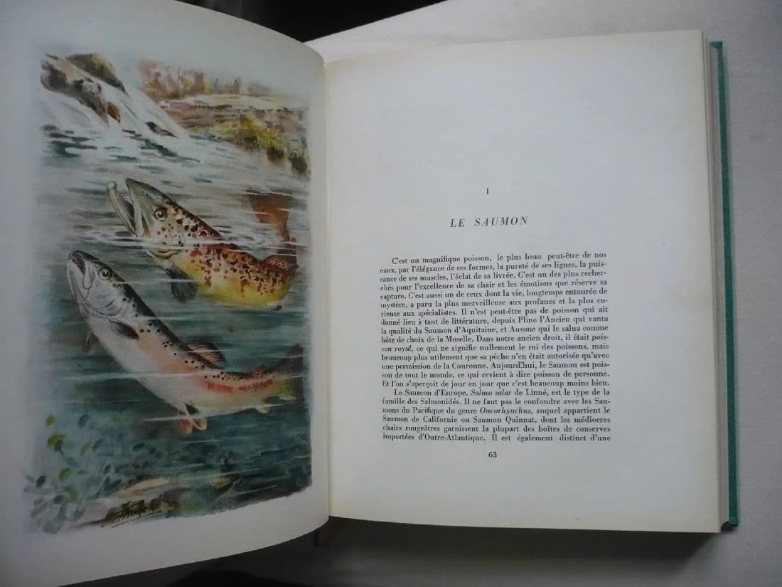 Poissons des Rivières de France - Histoire naturelle pour les pêcheurs. L de Boisset - Image 5