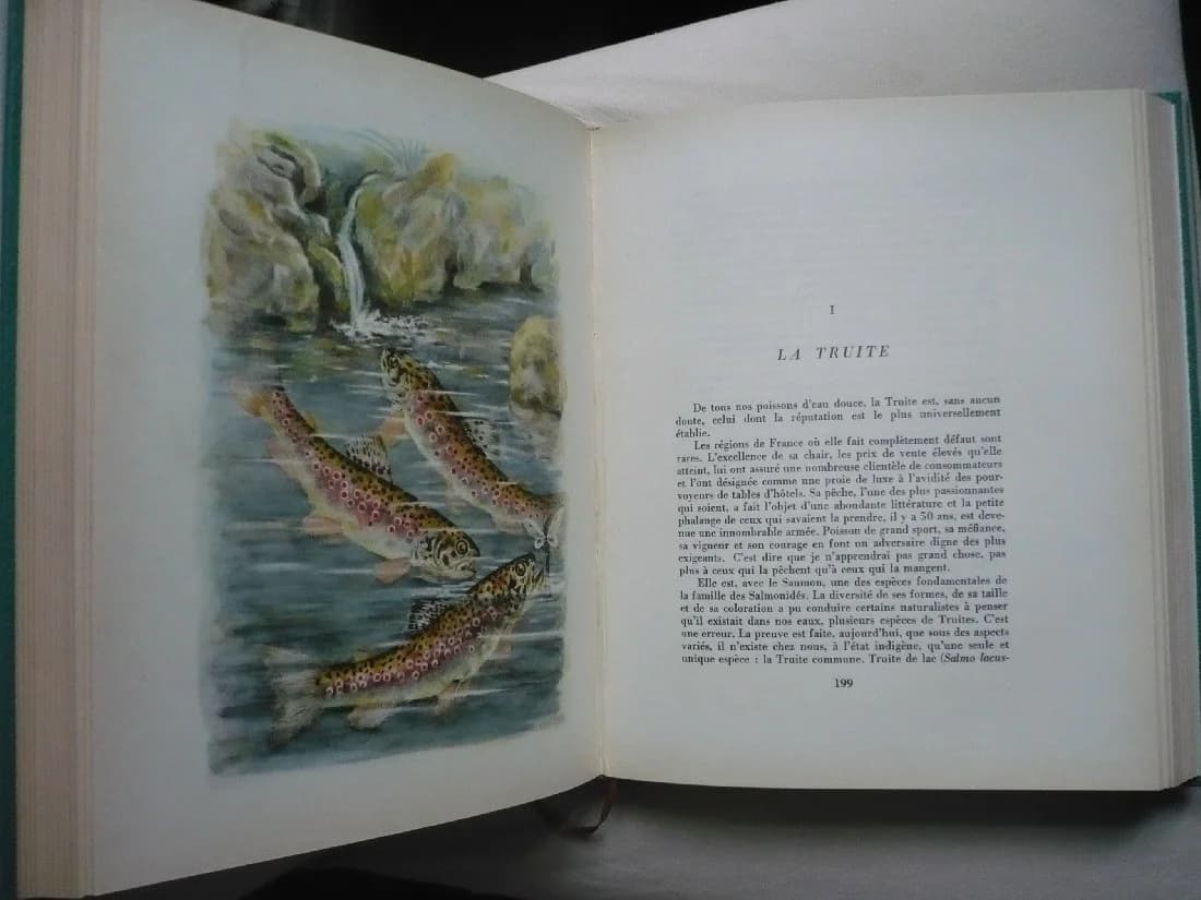 Poissons des Rivières de France - Histoire naturelle pour les pêcheurs. L de Boisset - Image 6