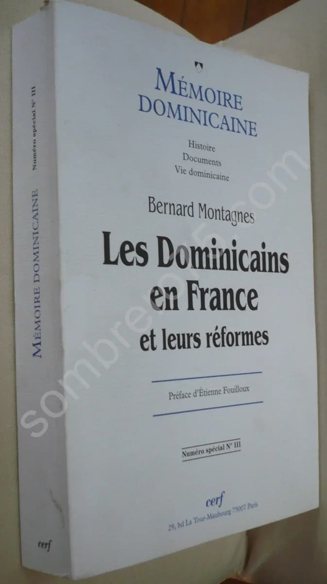 Les Dominicains en France et leurs réformes. Mémoires dominicaines. B. Montagnes