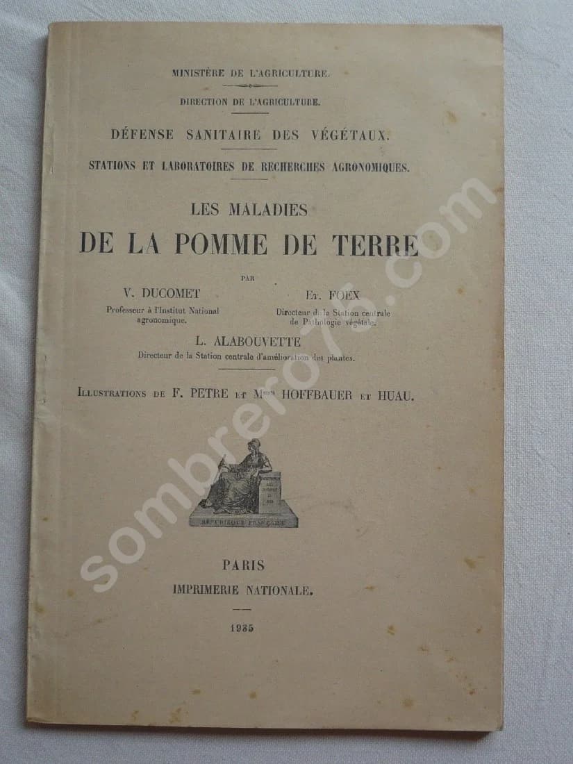 Les maladies de la Pomme de Terre