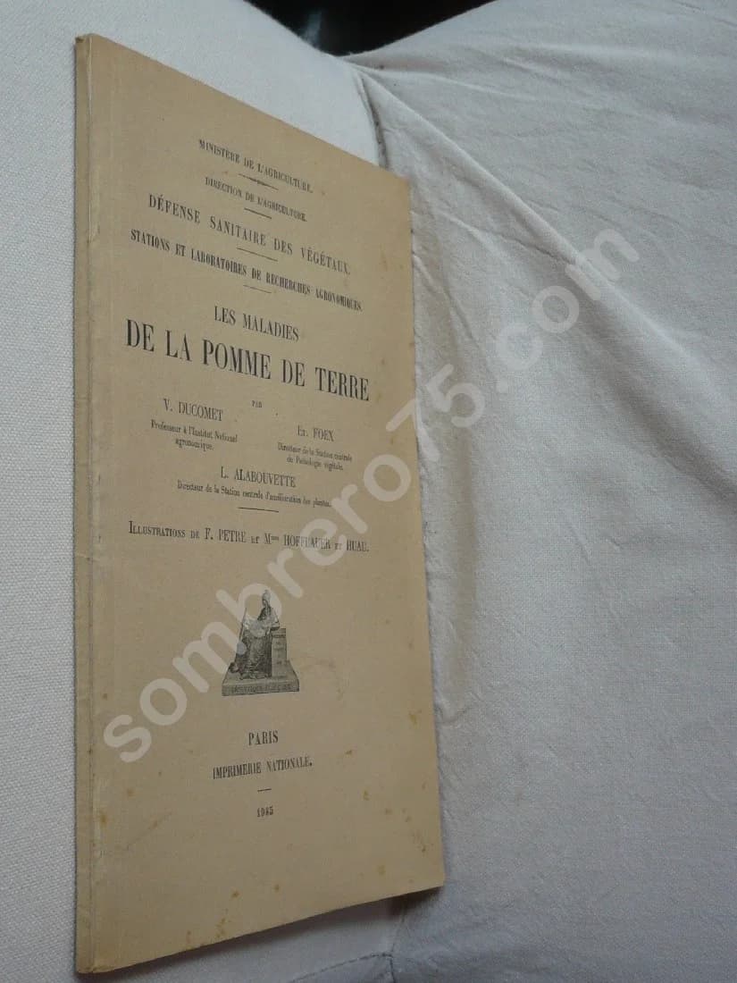 Les maladies de la Pomme de Terre - Image 2