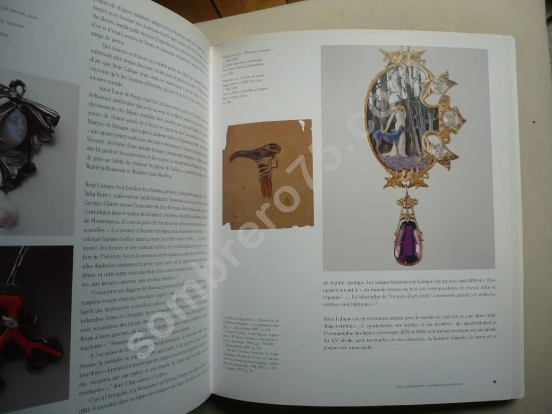 René LALIQUE - Bijoux d'exception 1890-1912 - Image 5