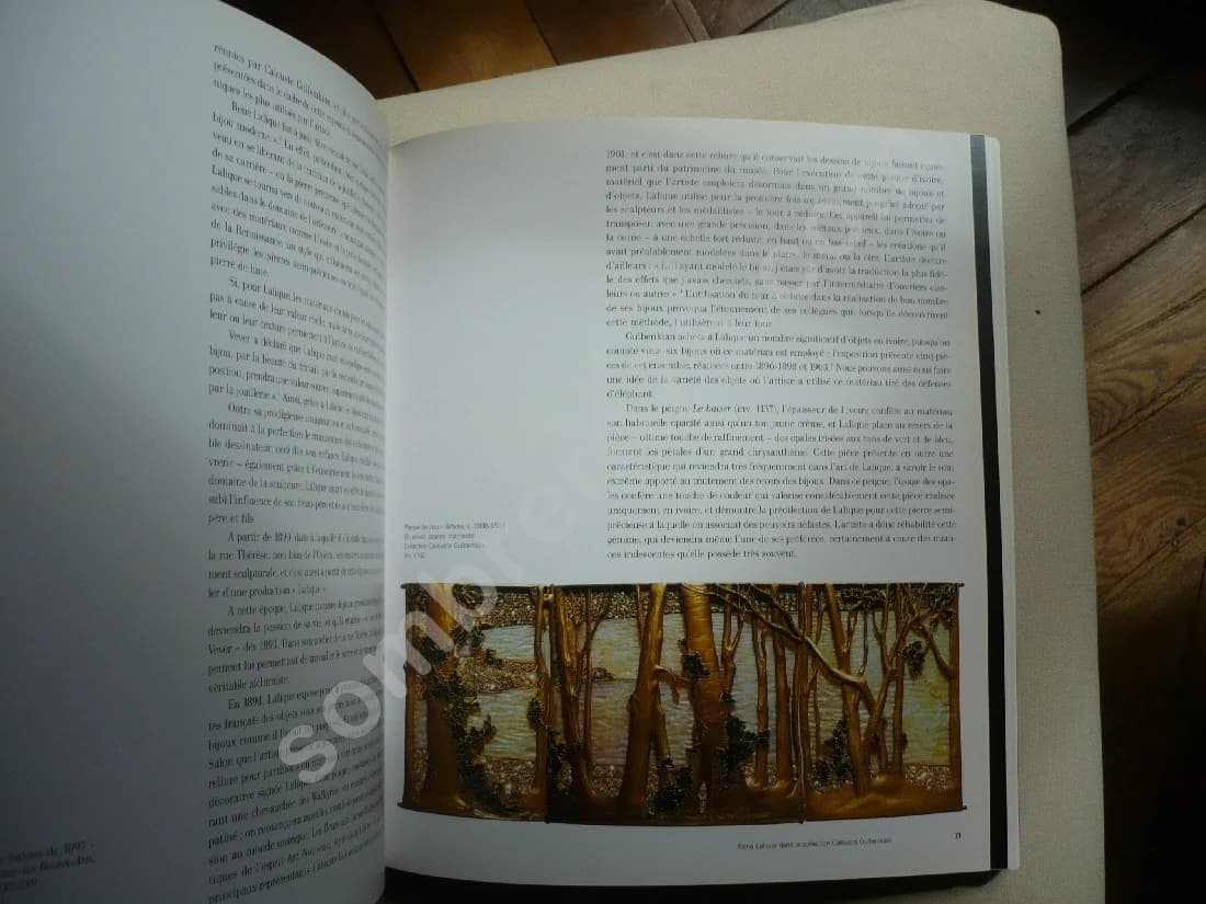 René LALIQUE - Bijoux d'exception 1890-1912 - Image 6