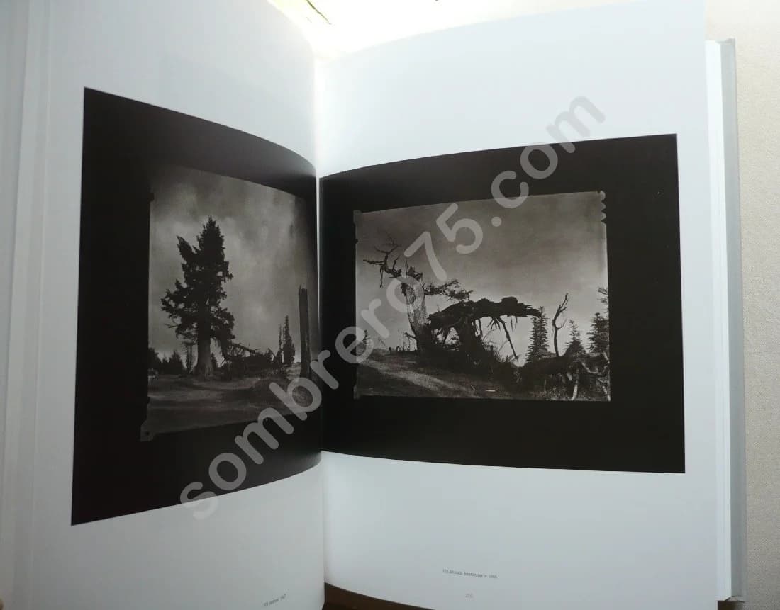 Josef Sudek - le Monde à ma Fenêtre - Image 5