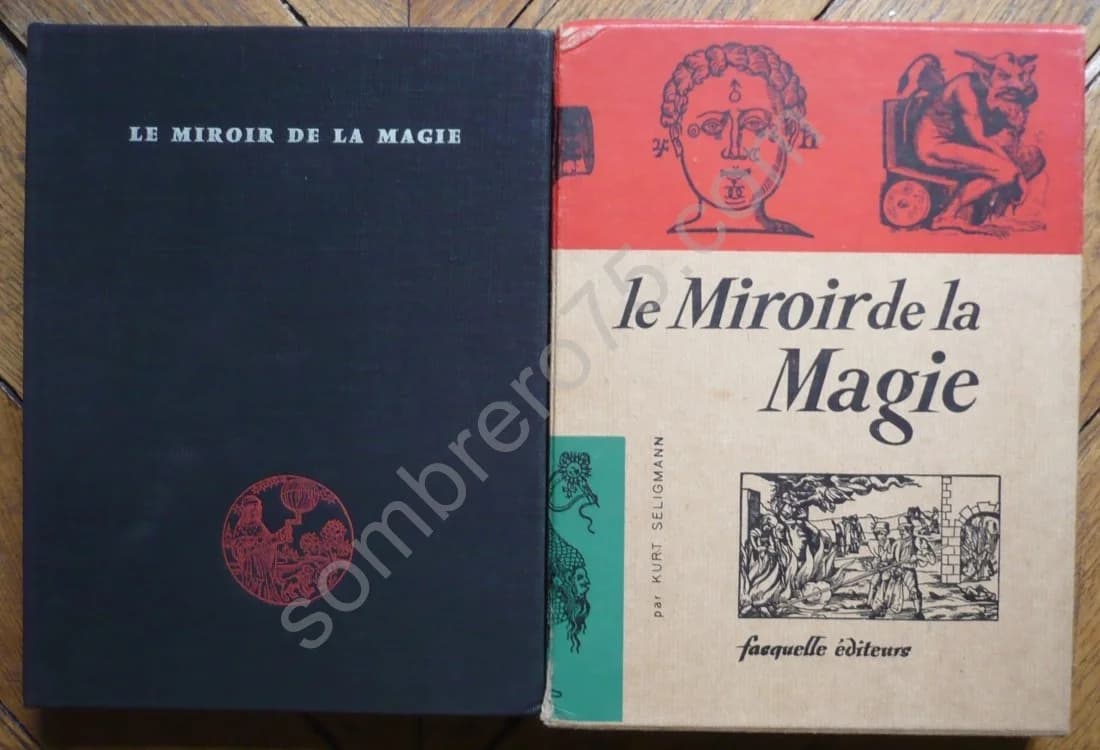 Le Miroir de la Magie