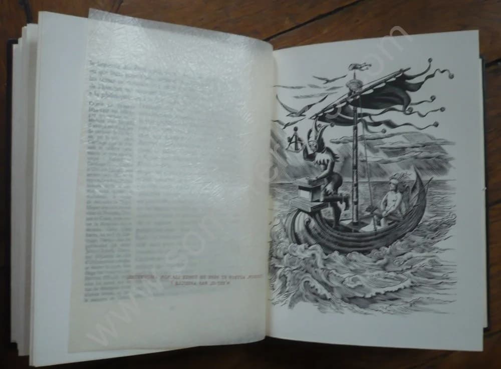 Eloge de la Folie - coffret de 2 volumes - Image 5