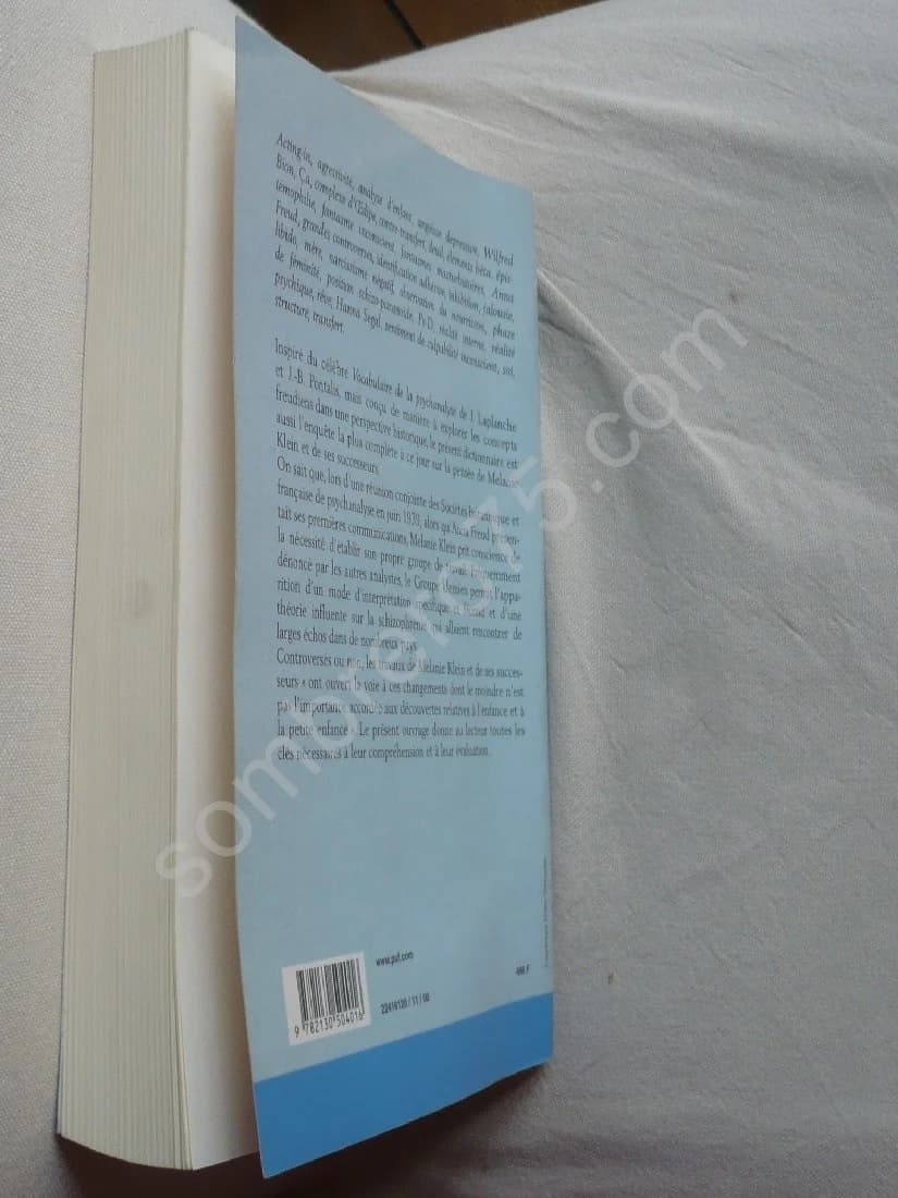 Dictionnaire de la Pensée Kleinienne - Image 3