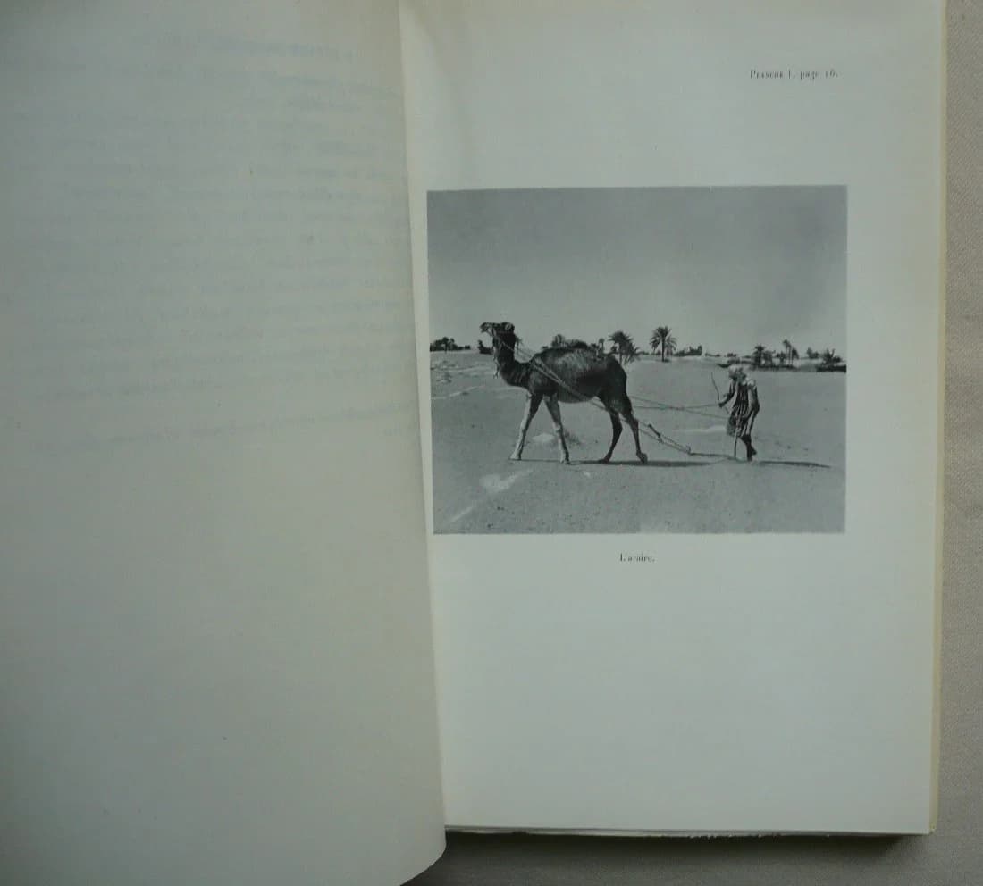 Documents Linguistiques et Ethnographiques sur une région du sud tunisien : le Nefzaoua - Image 5