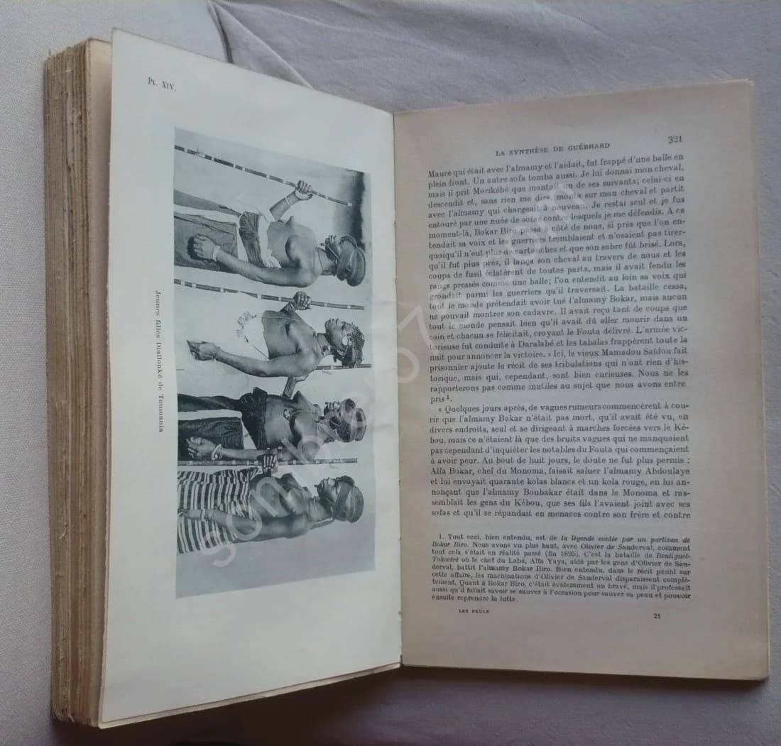 Moeurs et Histoire des Peuls - Image 4