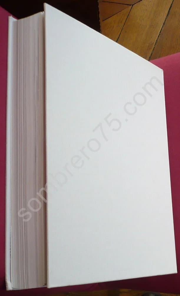 Des barbares à l'an mil - Image 4