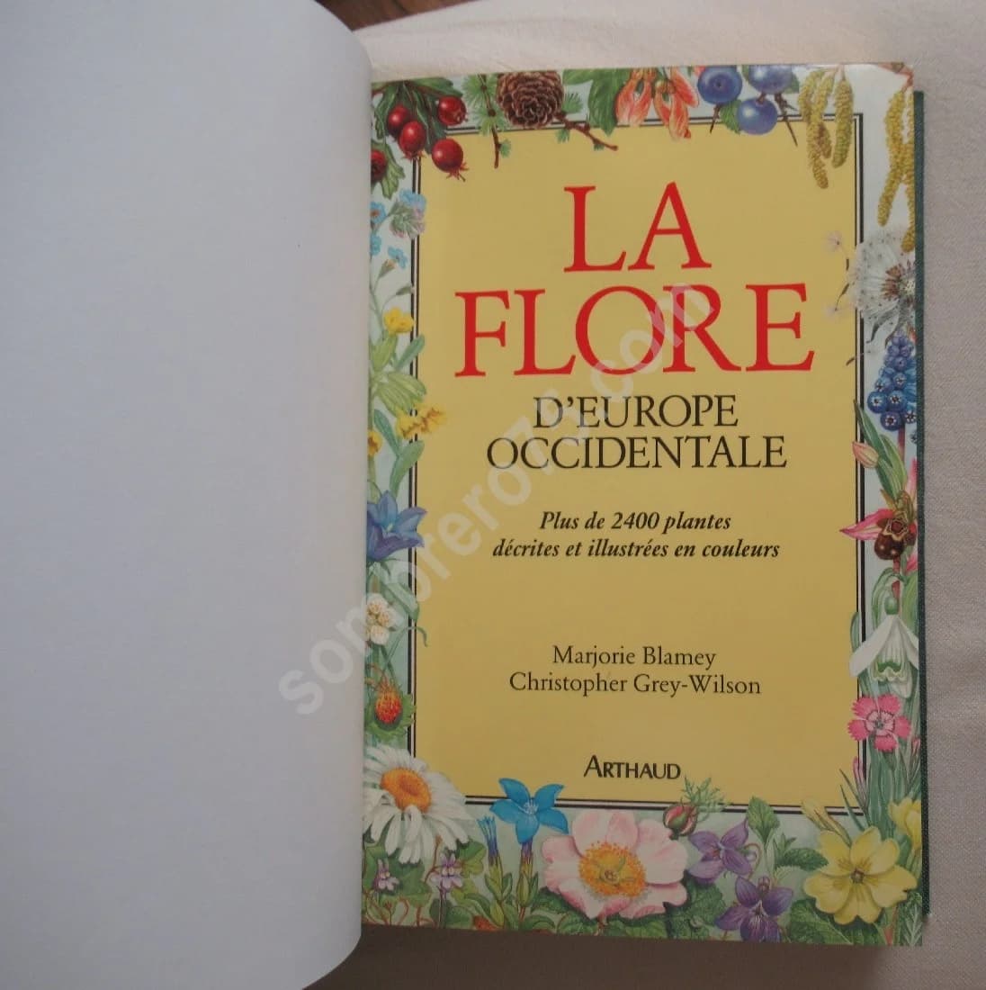 La Flore d'Europe Occidentale - Image 2