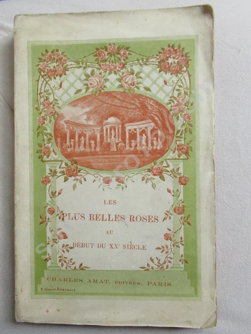 Les plus belles roses au début du XXe siècle