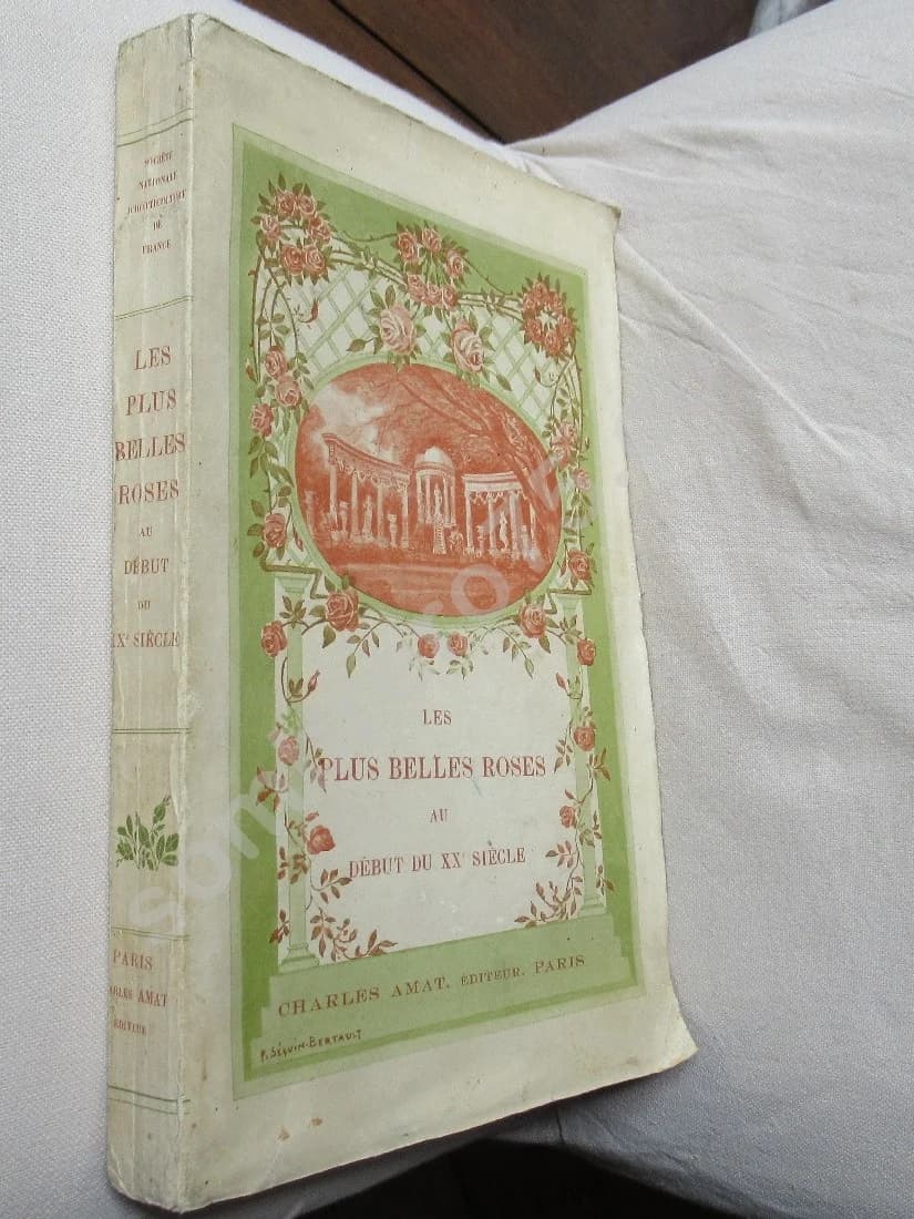 Les plus belles roses au début du XXe siècle - Image 2