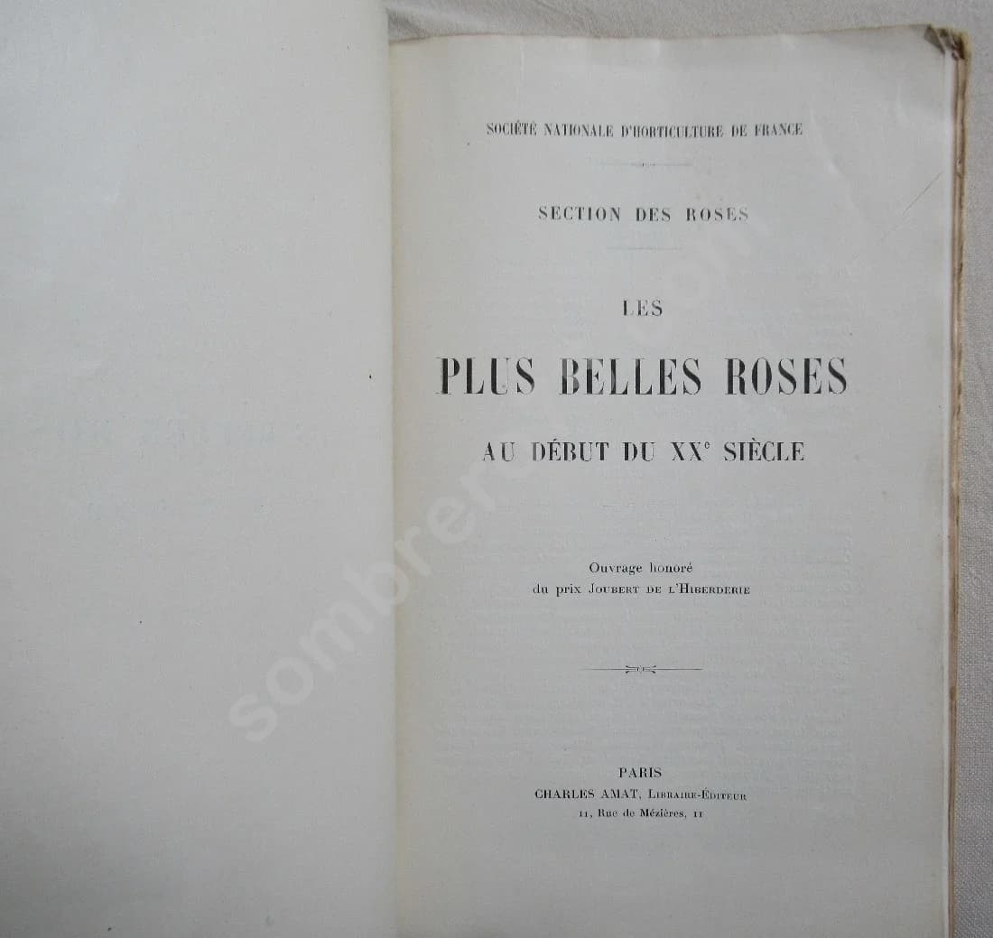 Les plus belles roses au début du XXe siècle - Image 3