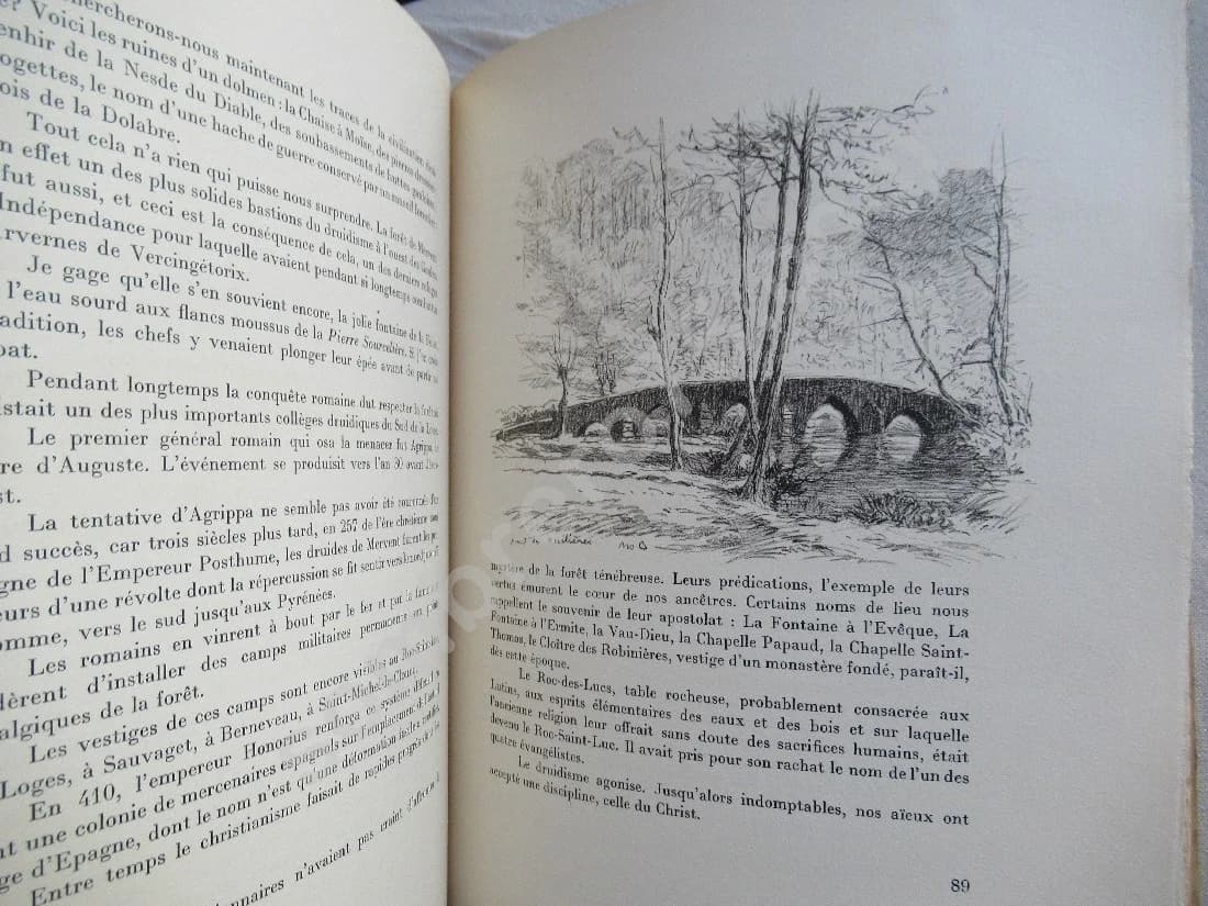 Rivières et Forêts Vendéennes.. Illustrations Bouroux - Image 5
