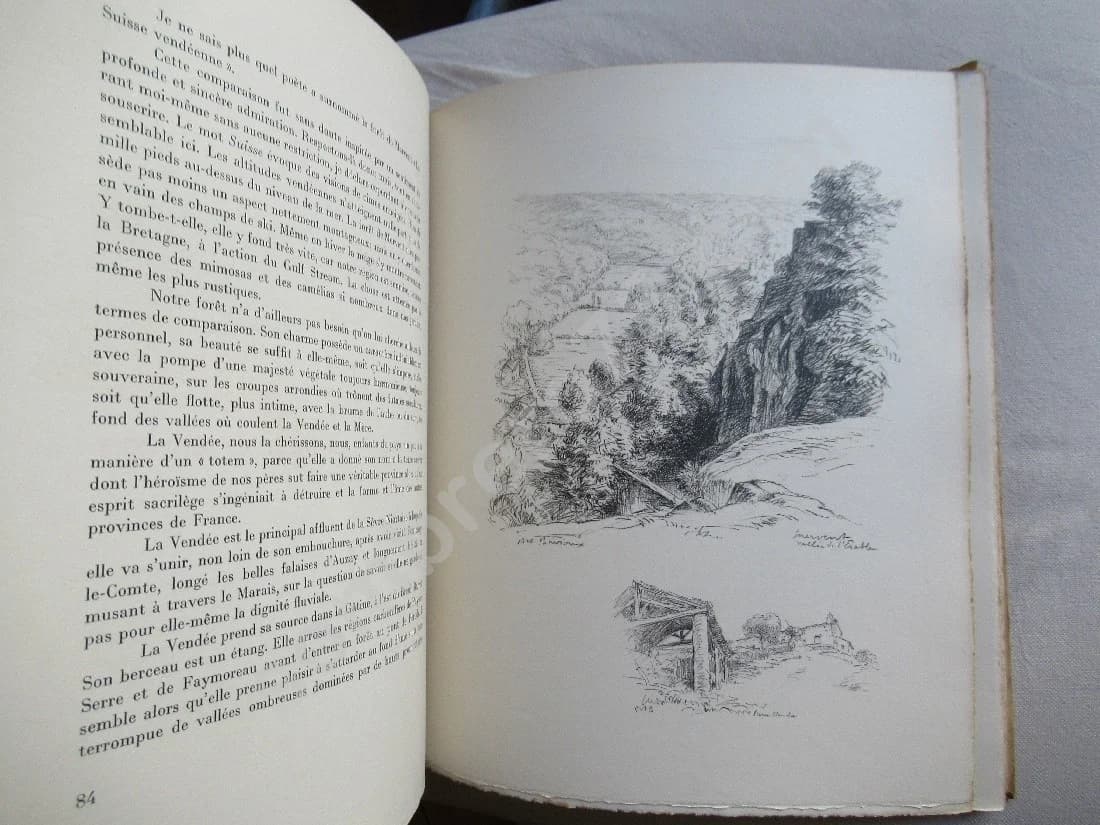 Rivières et Forêts Vendéennes.. Illustrations Bouroux - Image 6