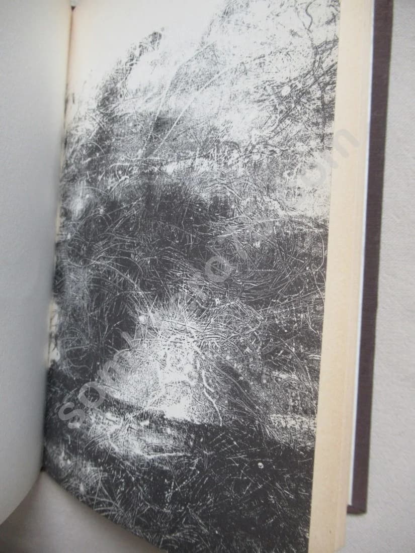 Deux Confessions.. E.O - Image 7