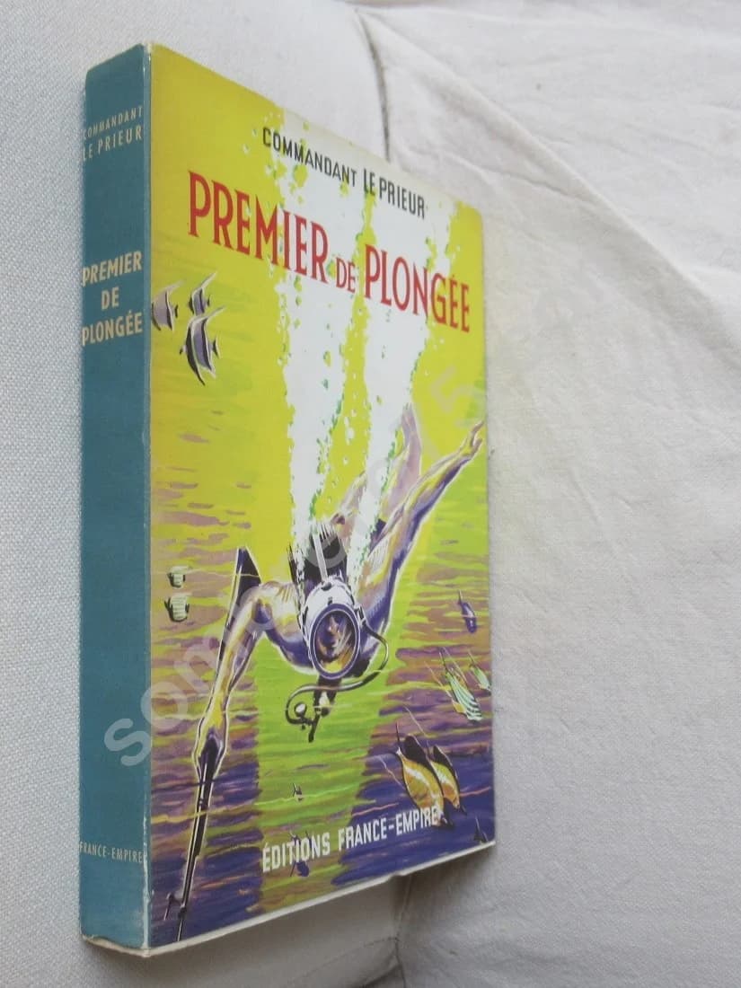 Premier de Plongée - Le Prieur - Image 2