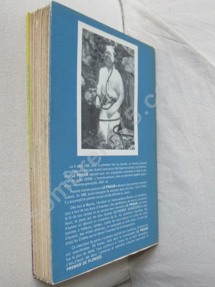 Premier de Plongée - Le Prieur - Image 6