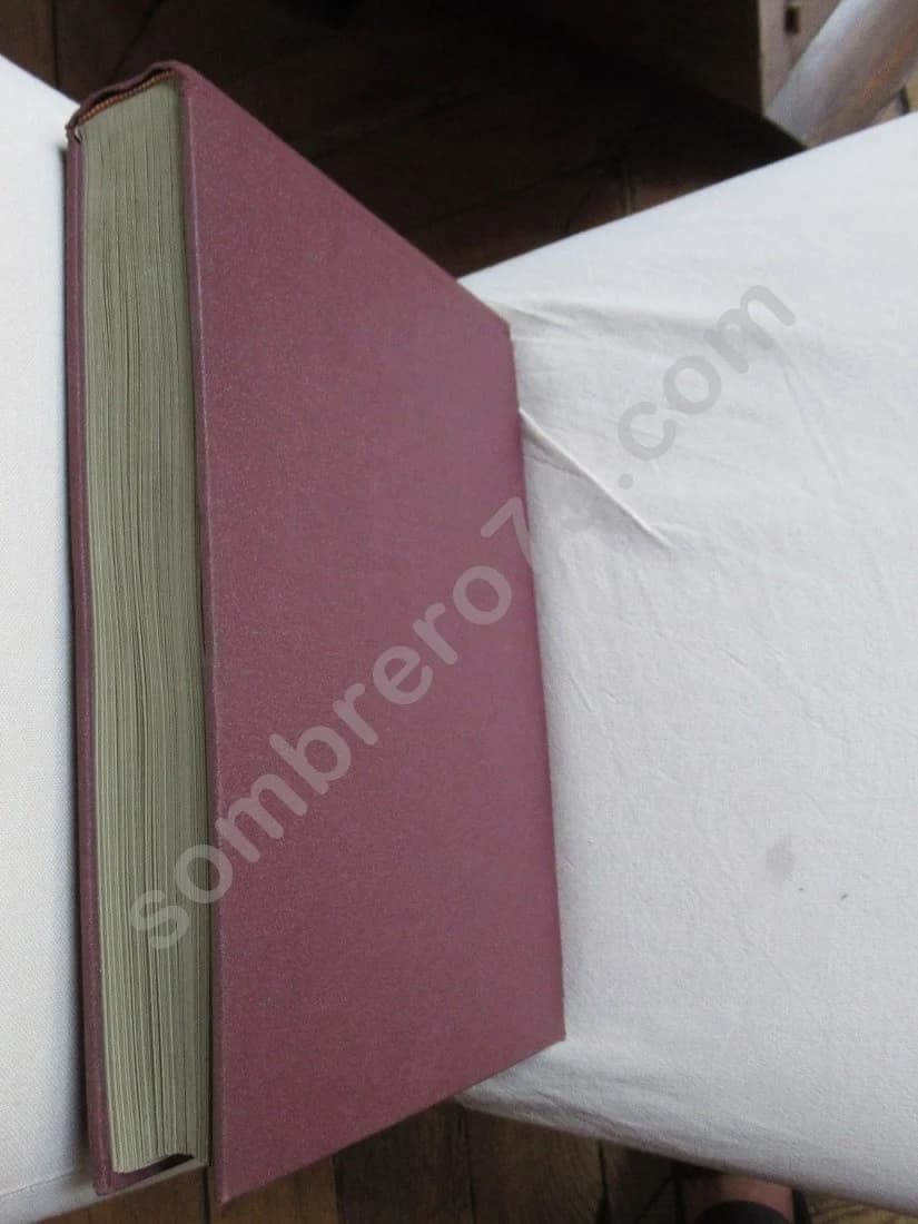 Les photographies de J H Lartigue - un album de famille - Belle époque - Image 9