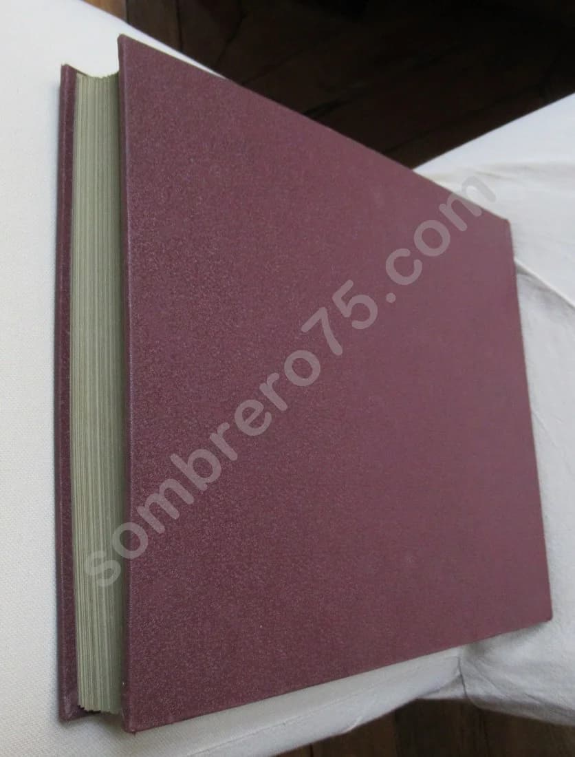 Les photographies de J H Lartigue - un album de famille - Belle époque - Image 10