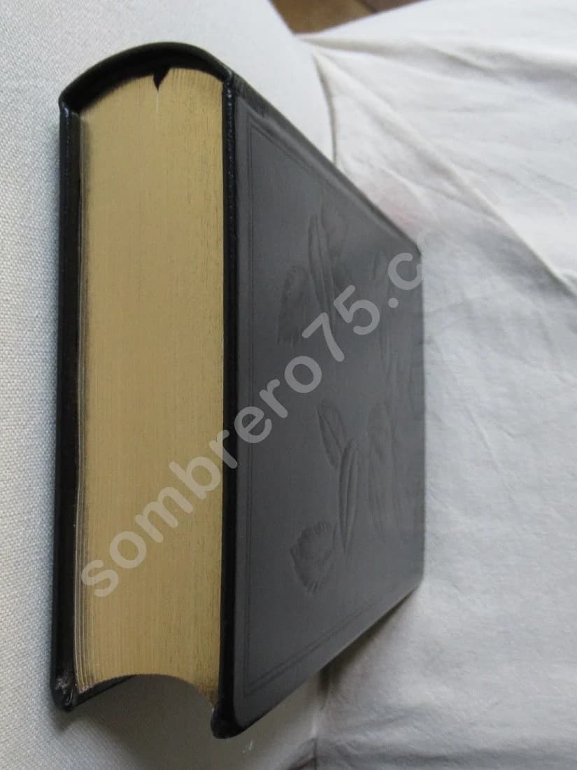 Histoire de ma vie - Image 4