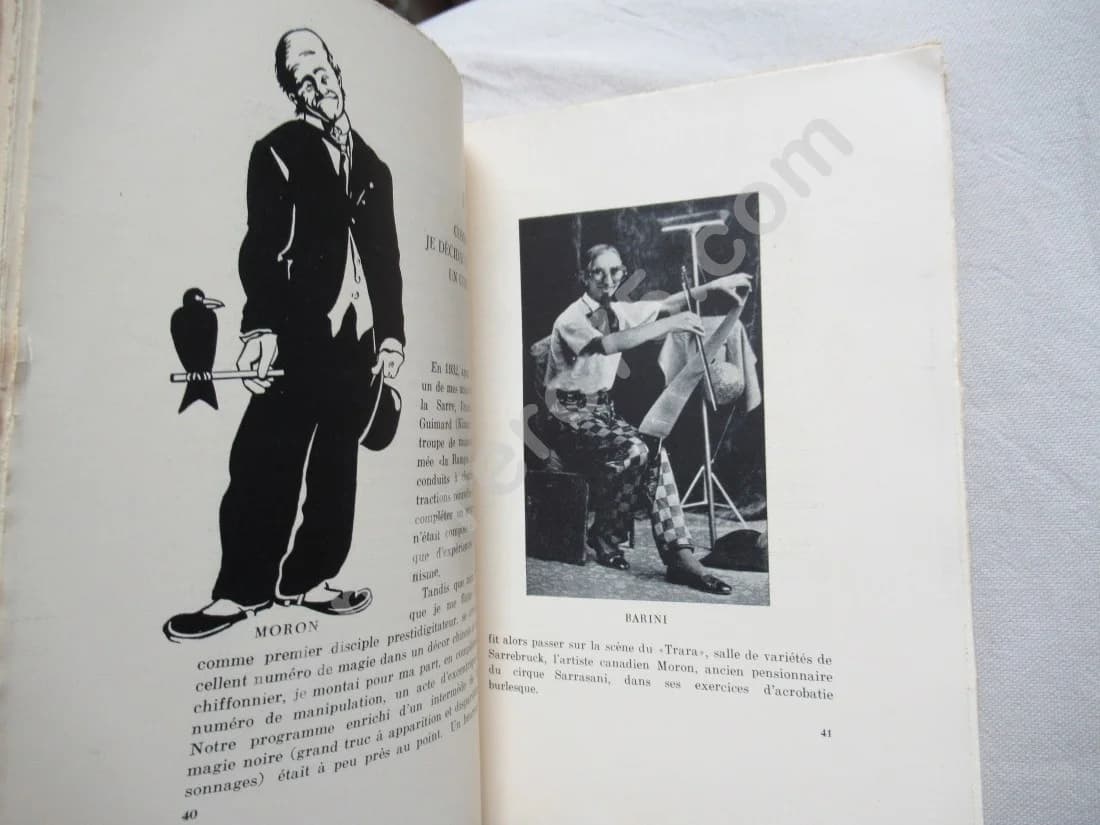 Toto Corbeau Savant "Comment je l'ai dressé". BARINI (P. Gontier de Biran) - Image 5