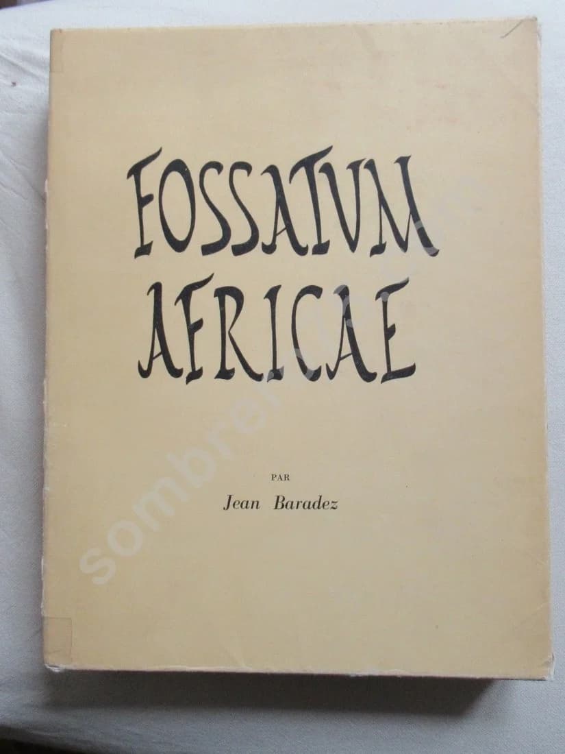 Fossatum Africae - recherches aériennes des confins sahariens