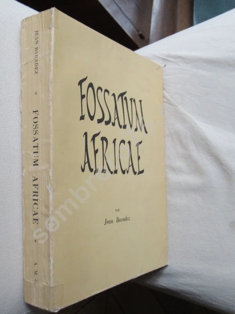 Fossatum Africae - recherches aériennes des confins sahariens - Image 2