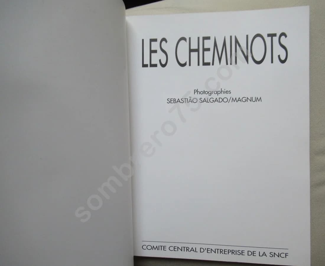 Les Cheminots - Photographies de SALGADO Sebastiao - Image 3