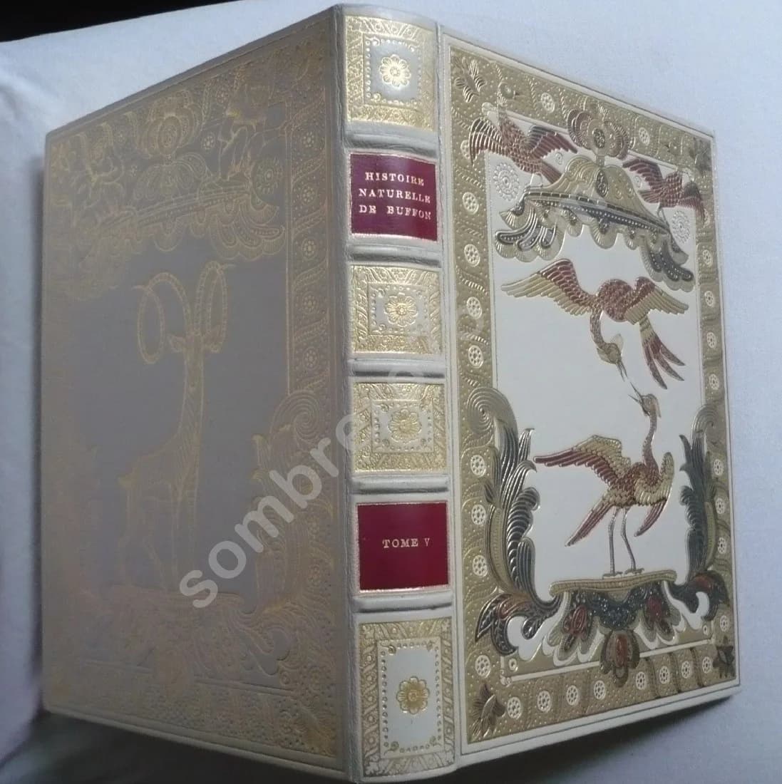 Histoire Naturelle de ornée de figures de Jacques de Sève. Les oiseaux. Vol 5