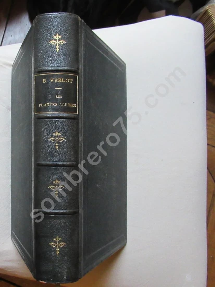 Les Plantes Alpines - 1873