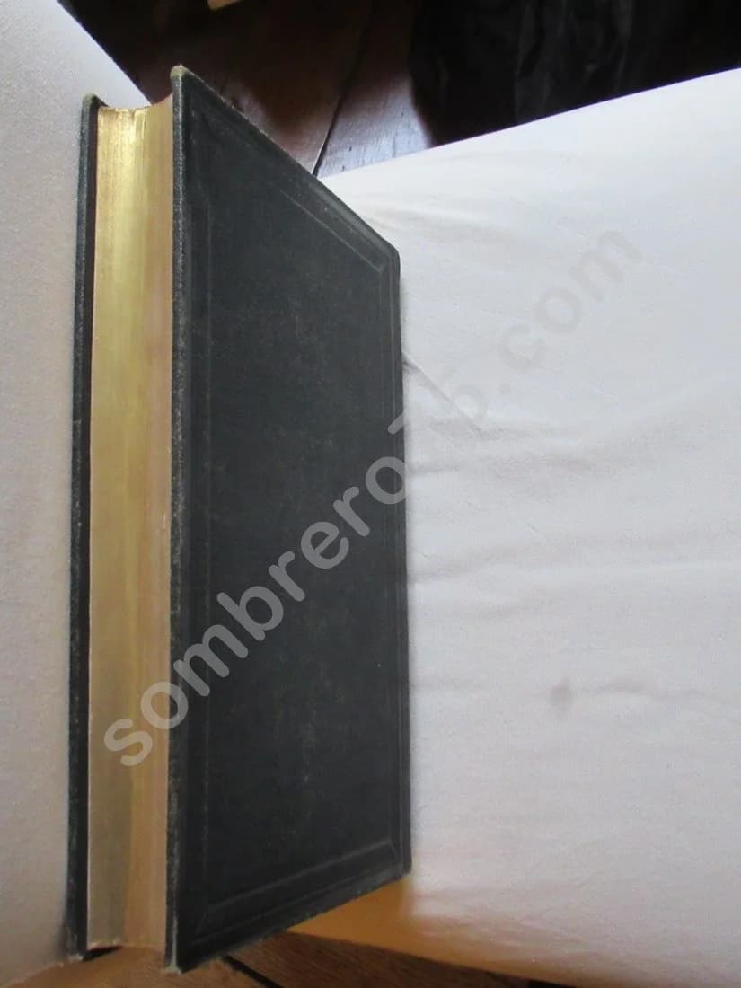 Les Plantes Alpines - 1873 - Image 14