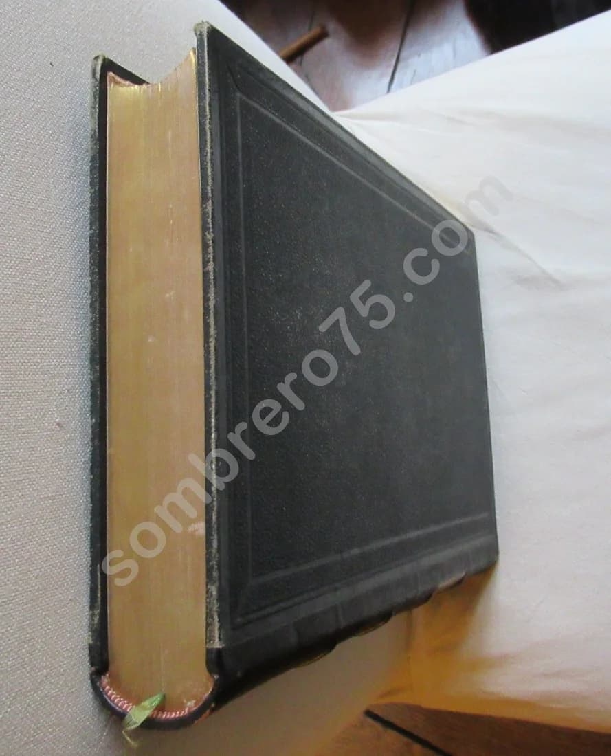 Les Plantes Alpines - 1873 - Image 15