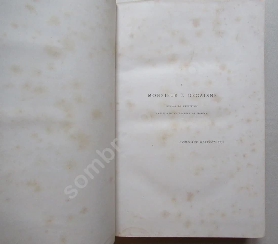 Les Plantes Alpines - 1873 - Image 3