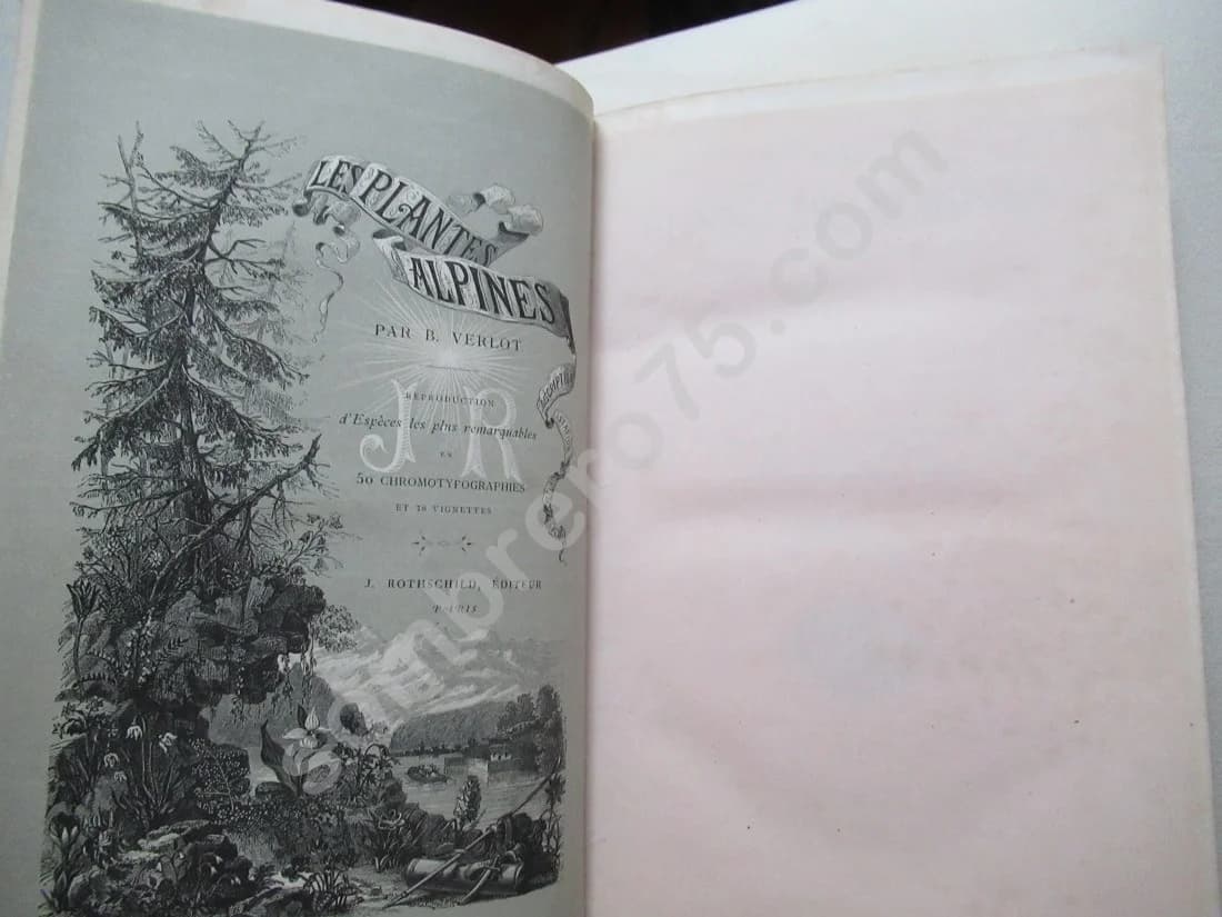 Les Plantes Alpines - 1873 - Image 4