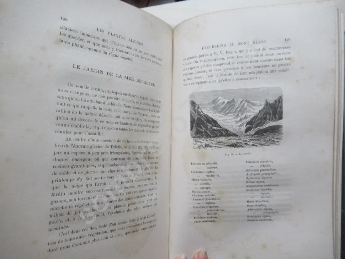 Les Plantes Alpines - 1873 - Image 9
