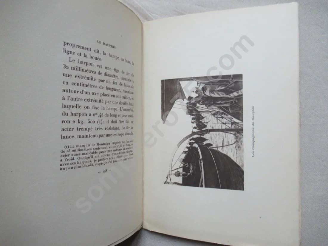 Le Dauphin - Syracuse.. 1911 - Image 7
