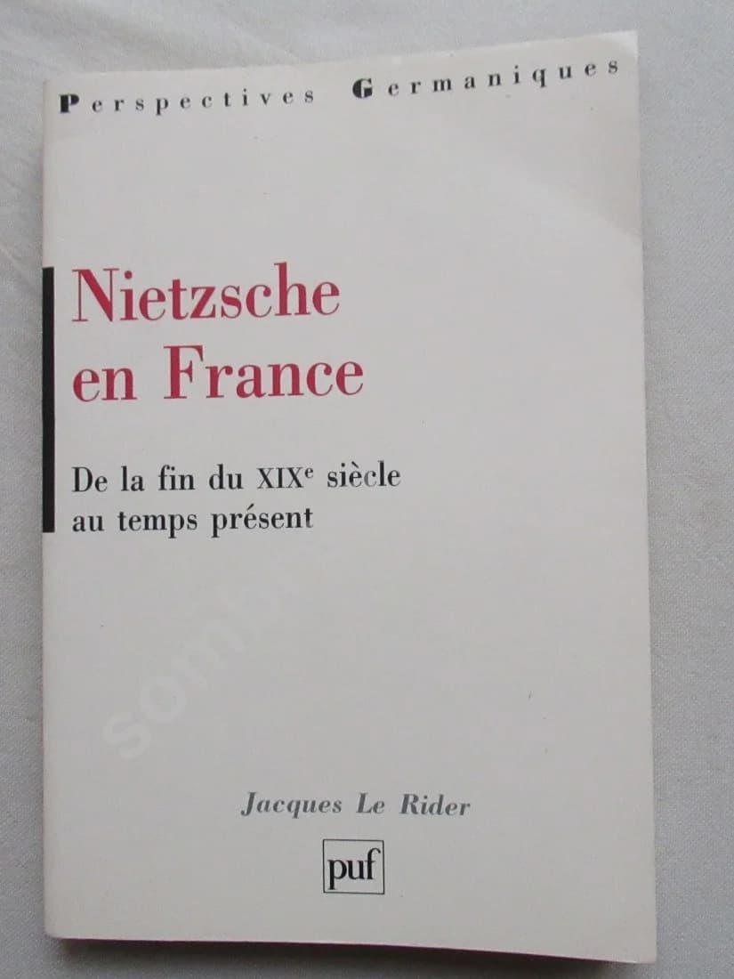Nietzsche en France. De la fin du XIXe siècle au temps présent. LE RIDER