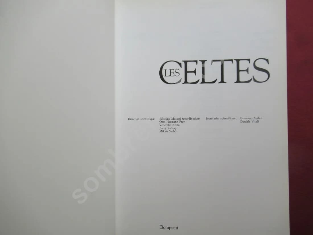 Les Celtes - Image 3