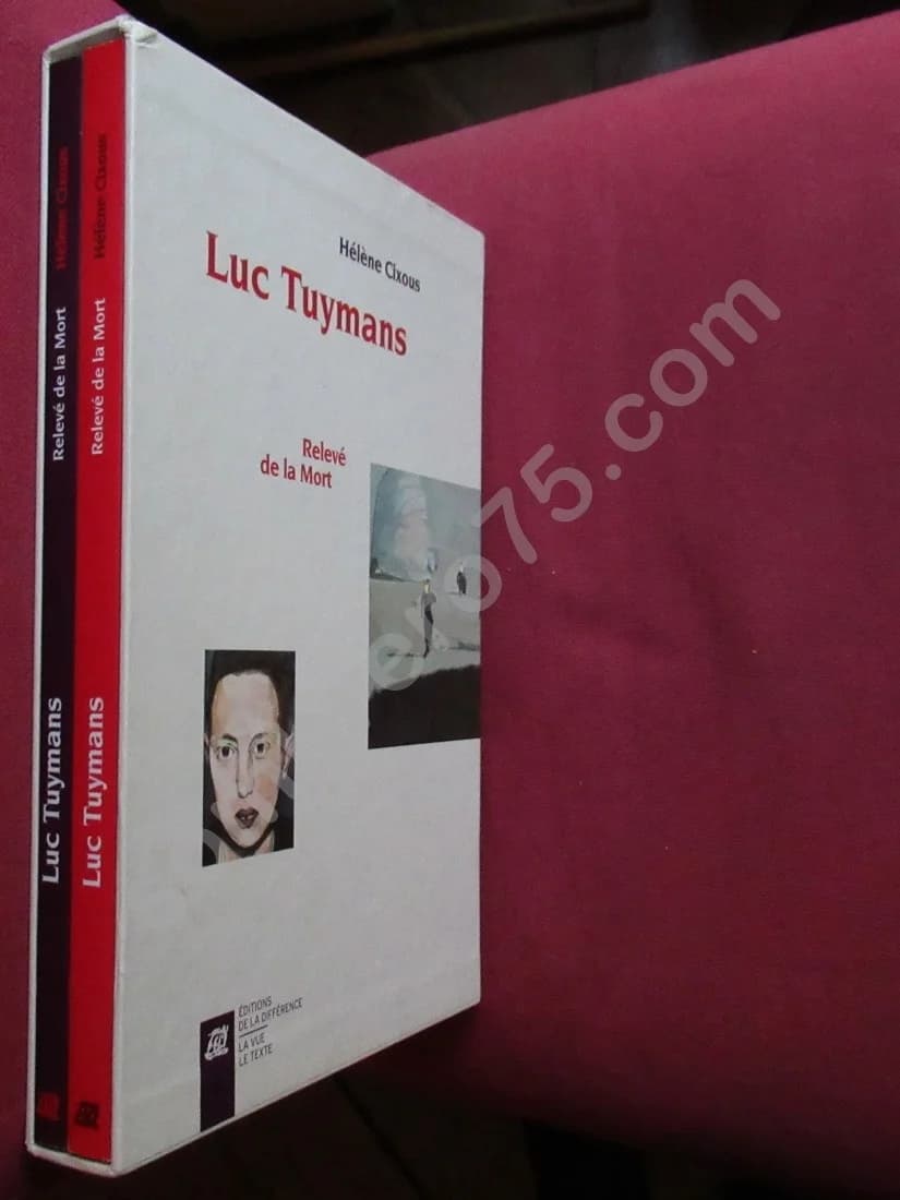 Luc Tuymans - Relevé de la mort. Coffret 2 tomes