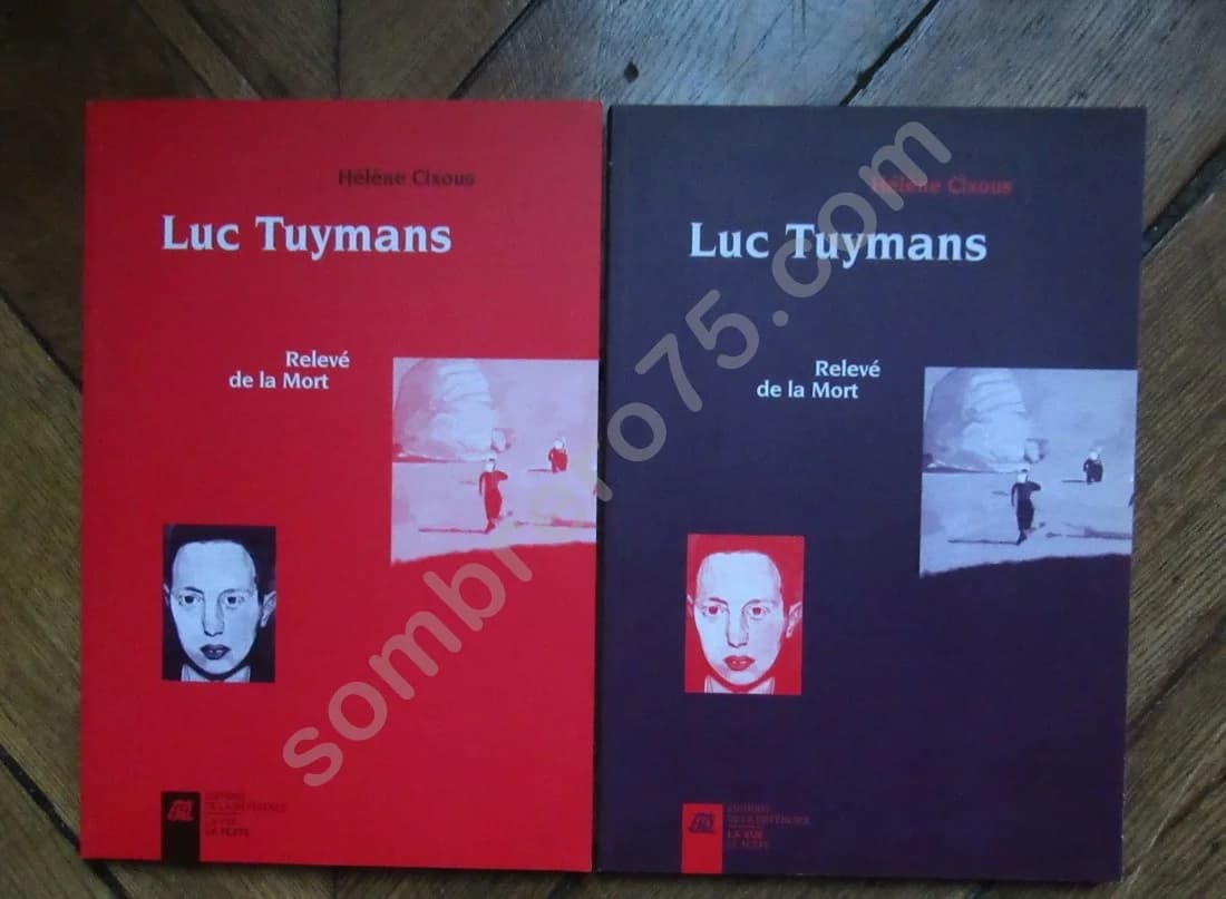 Luc Tuymans - Relevé de la mort. Coffret 2 tomes - Image 2