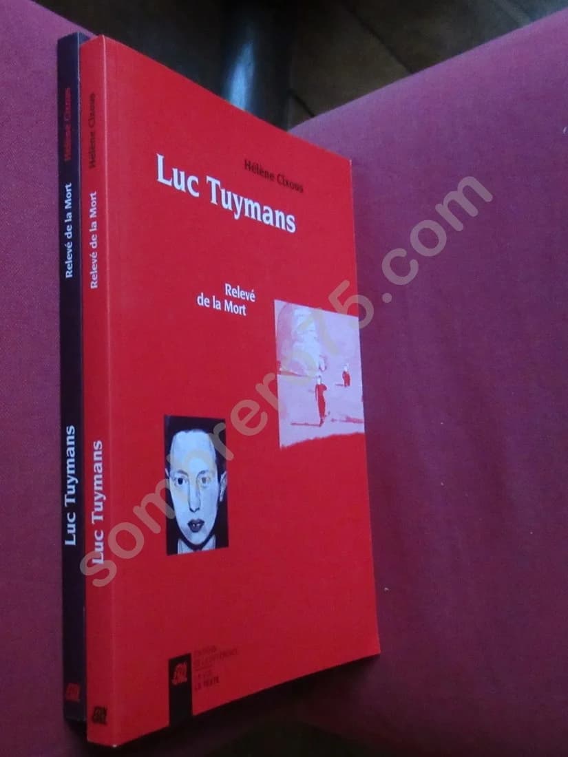 Luc Tuymans - Relevé de la mort. Coffret 2 tomes - Image 3