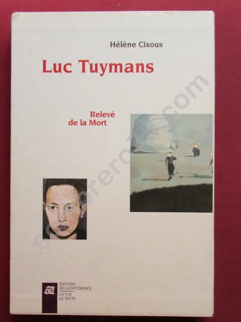 Luc Tuymans - Relevé de la mort. Coffret 2 tomes - Image 4